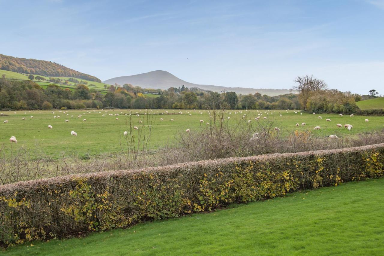 Sunny Cottage Brecon Exterior foto